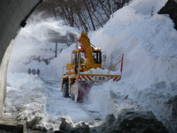 関東甲信大雪災害展　－「非雪国」を襲った雪害の記録－