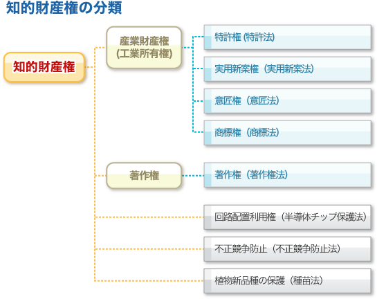 知的財産の分類