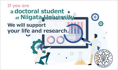 doctoral research support program