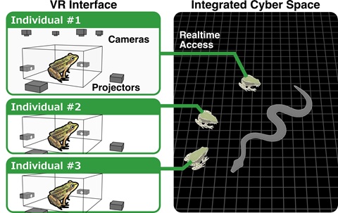 Animal experiment concept using VR technology