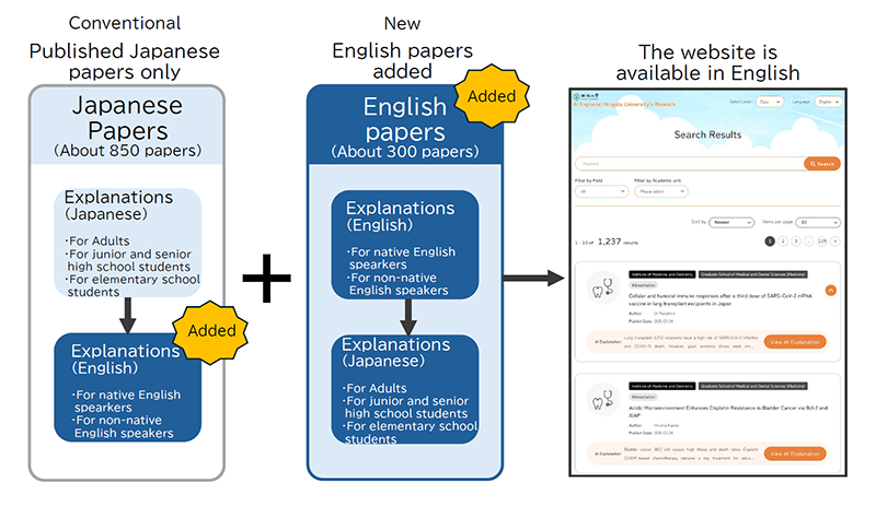 Website explanatory diagram