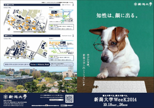 チラシ表