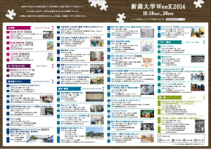 チラシ裏