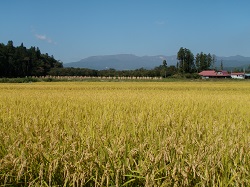 里地里山の世界