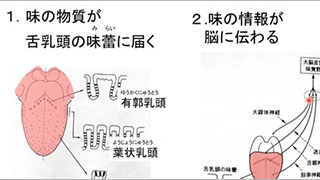 令和4年度後期公開講座「人生100年時代の元気のもとは「健康でおいしく・楽しく食べる」」