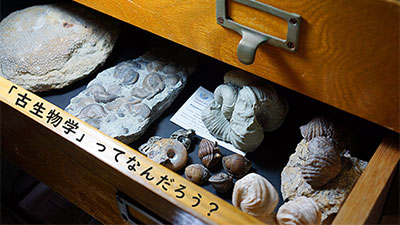 令和5年度後期新潟大学公開講座「『古生物学』ってなんだろう？」