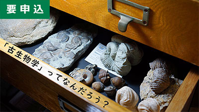 令和6年度後期新潟大学公開講座「『古生物学』ってなんだろう？？」
