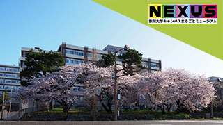 お口から始まる学び
