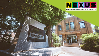 新潟大学のお宝発見！ 旭町学術資料展示館コレクション