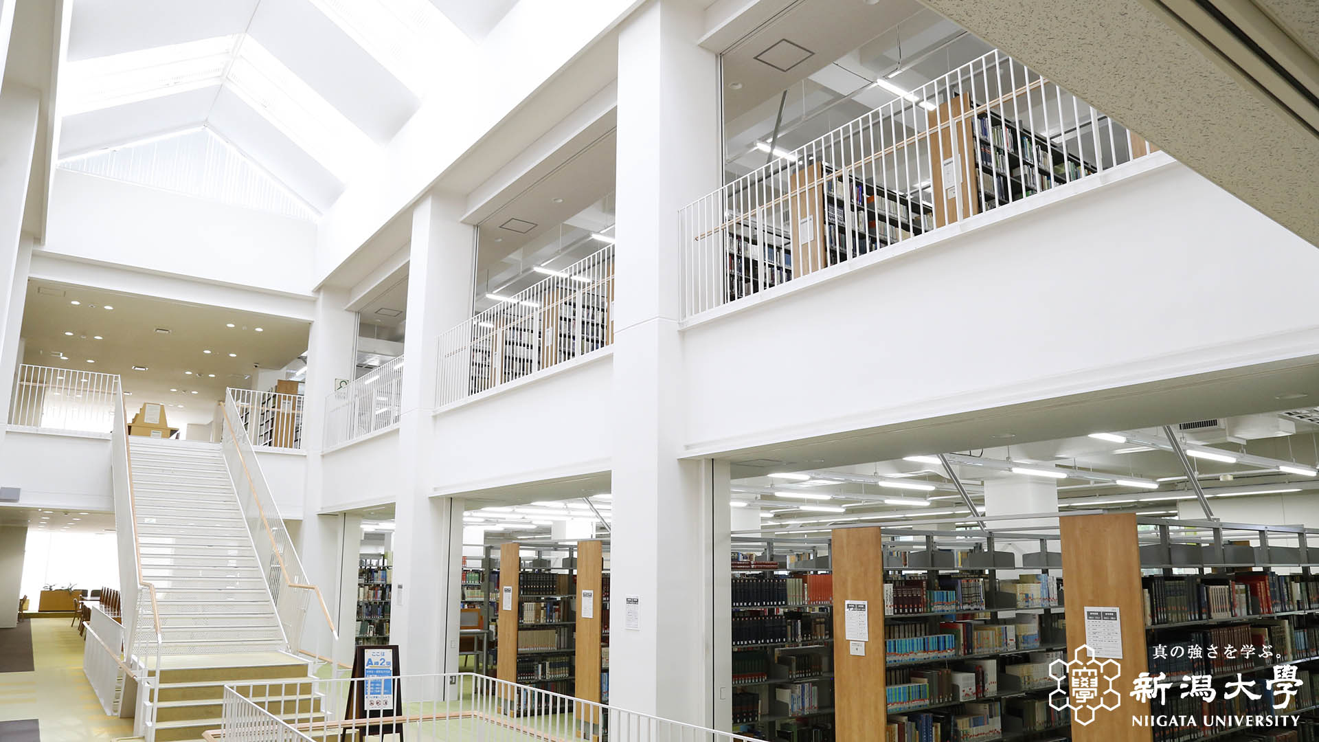 バーチャル背景 関連情報 新潟大学 バーチャル背景 関連情報 新潟大学