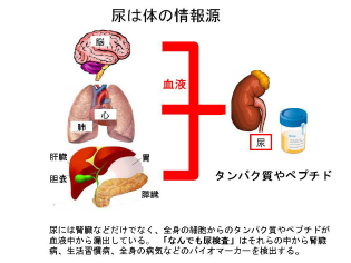 「生体液バイオマーカーセンター」(Biiofluid Biomarker Center, BBC)の取り組み