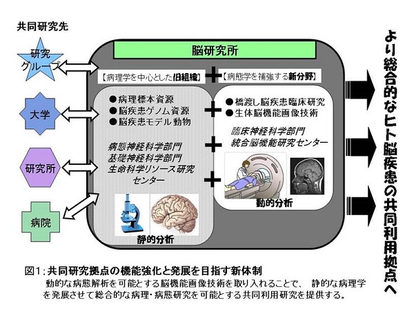 共同研究拠点の機能強化と発展を目指す新体制