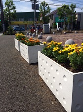 植え替えをしたプランター
