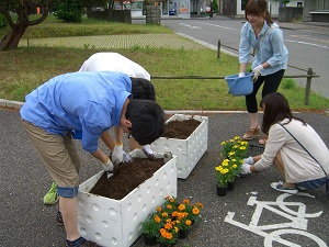 植え替え作業の様子
