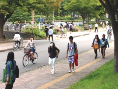 a1412232404454