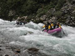 a1435562695924