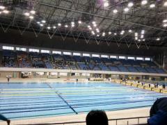 水泳部 中部学生選手権水泳競技大会 サークル 新大生の活躍 学生生活 就職 新潟大学