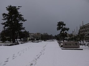 五十嵐キャンパス正門積雪状況