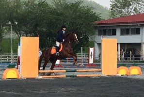 4.22-24 馬術部1修正