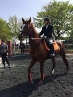 4.22-24 馬術部5