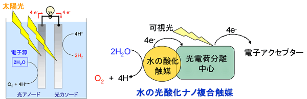 c8hkde000000ewk3