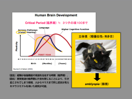 sentan_pro_sugiyama