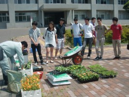 環境系サークル「ひまわり」の学生と職員による正門周辺プランターの花の植替えの様子