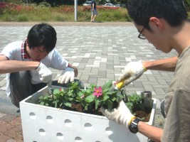 環境系サークル「ひまわり」の学生と職員による正門周辺プランターの花の植替えの様子