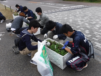 植替えの様子