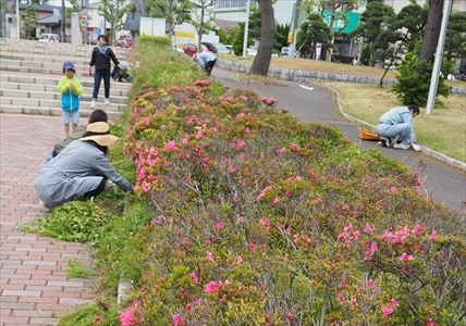 植替えの様子