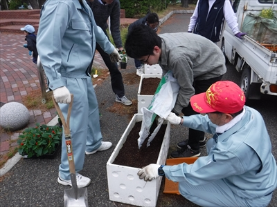 植替えの様子