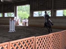 馬術部 新潟競馬場長杯馬術大会 サークル 新大生の活躍 学生生活 就職 新潟大学