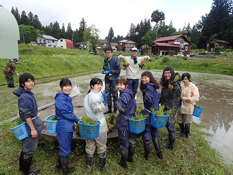 Horigotatsu activities