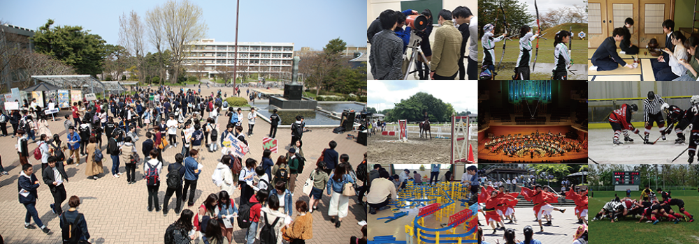 サークル紹介 学生生活 就職 新潟大学