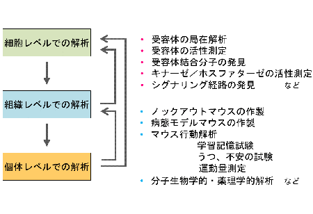 照沼教授の研究アプローチと手法