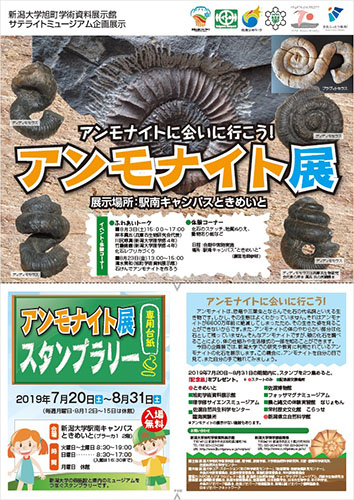 旭町学術資料展示館サテライトミュージアム企画展「アンモナイト展」