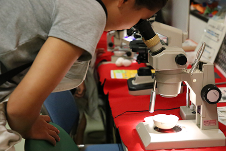 糸魚川市小中学生特別学習ツアー