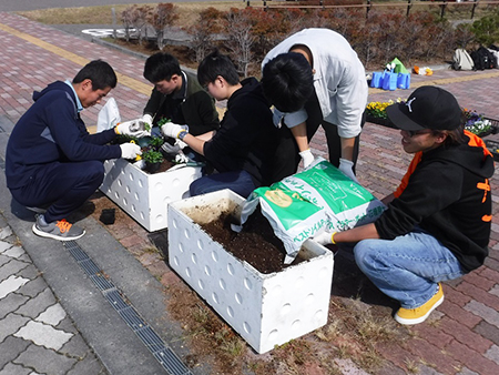 環境系サークル「ひまわり」の学生が正門周辺プランターの秋の花の植替え2019