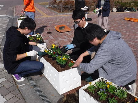 環境系サークル「ひまわり」の学生が正門周辺プランターの秋の花の植替え2019