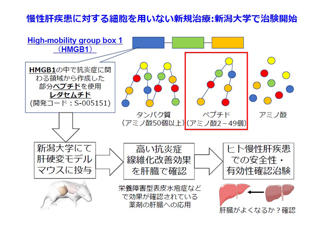 慢性肝疾患に対する細胞を用いない新規治療:新潟大学で治験開始
