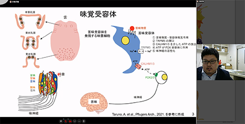 小林 大地 助教(免疫学)