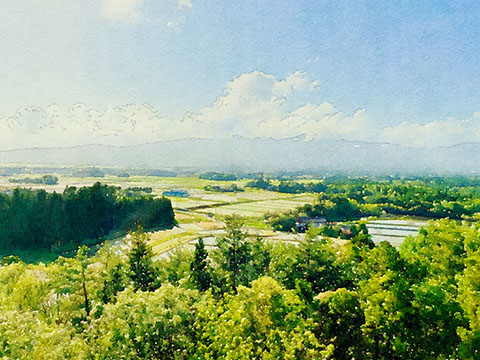 研究フィールドの風景-佐渡-