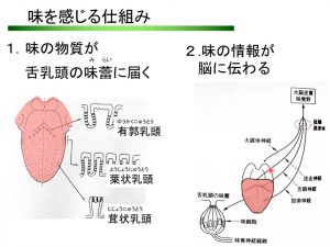4.「健康でおいしく・楽しく食べる」