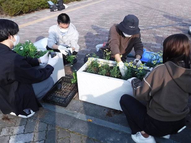 植え替えの様子