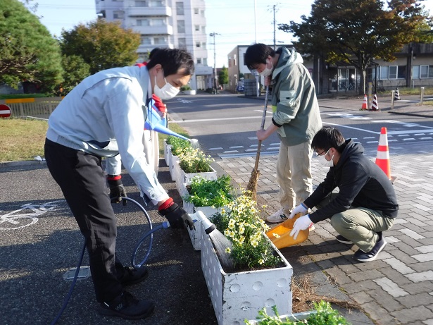 植え替えの様子