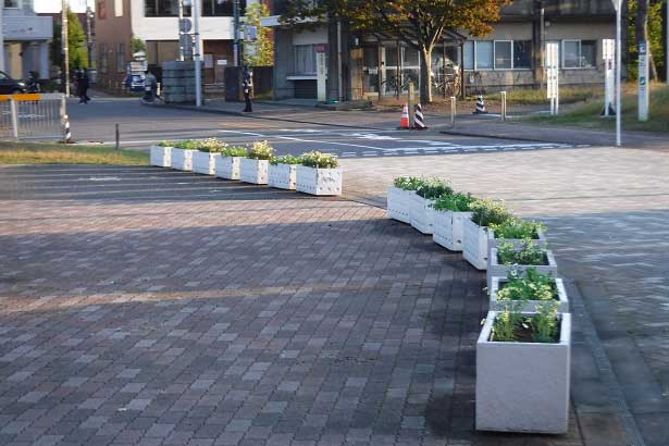 植え替えたプランター