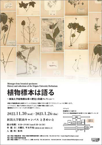 企画展示『植物標本は語る』～新潟大学植物標本庫の歴史と収蔵コレクション～