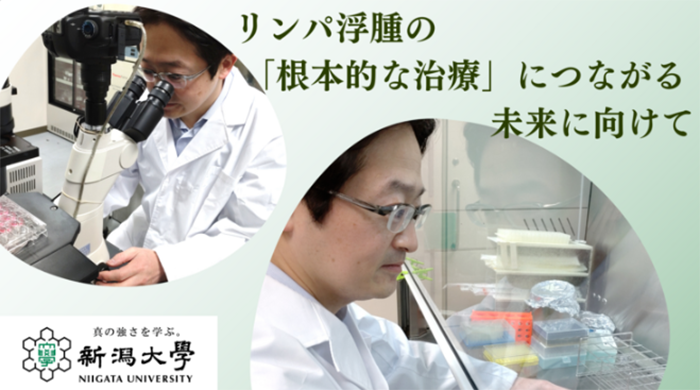 リンパ浮腫の進行を抑制する治療法開発を目指す、リンパ管の研究を!