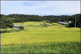 ４．新潟大学DESIGN-i（デザイン・アイ）の紹介：棚田のスマート農業 in 佐渡丸山棚田