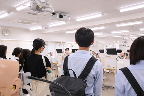 歯学部の様子